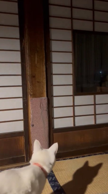 提供：いのうえもんぺさん