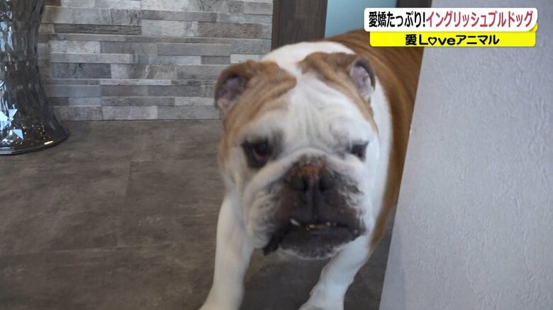 お客さんをお出迎えするルーシィちゃん