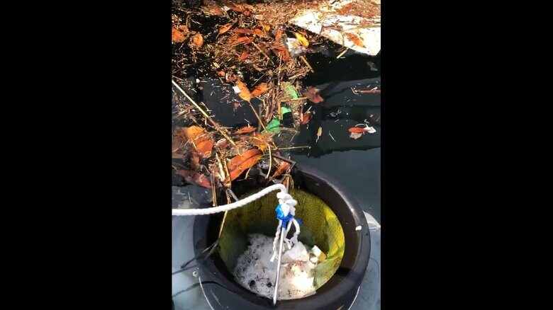 草木などが吸い込まれる様子