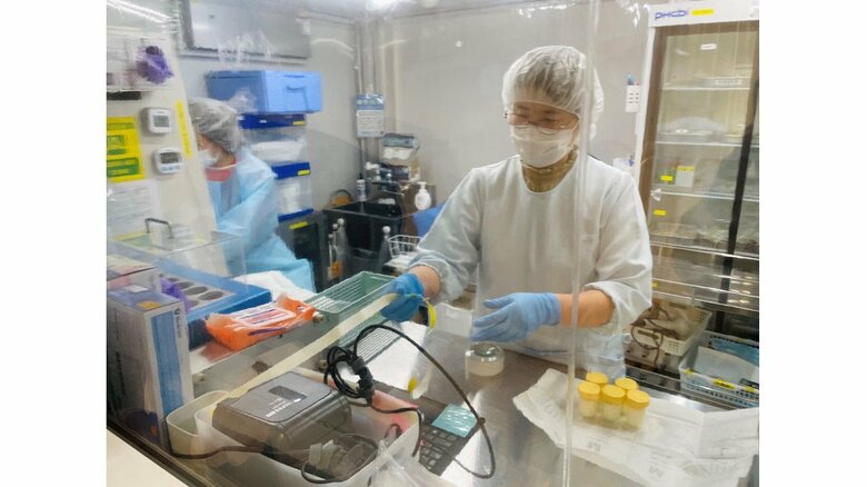 クリーンルームでの作業の様子