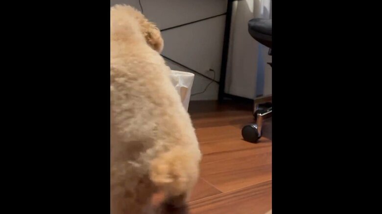 たくましい背中