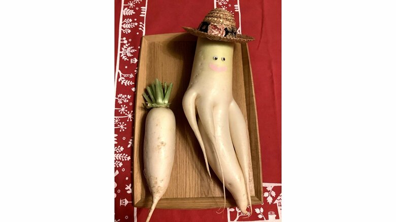 一般的な大根との比較