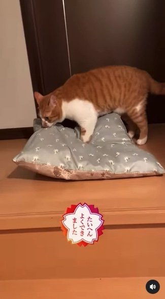 提供：赤瀬川和寿さん