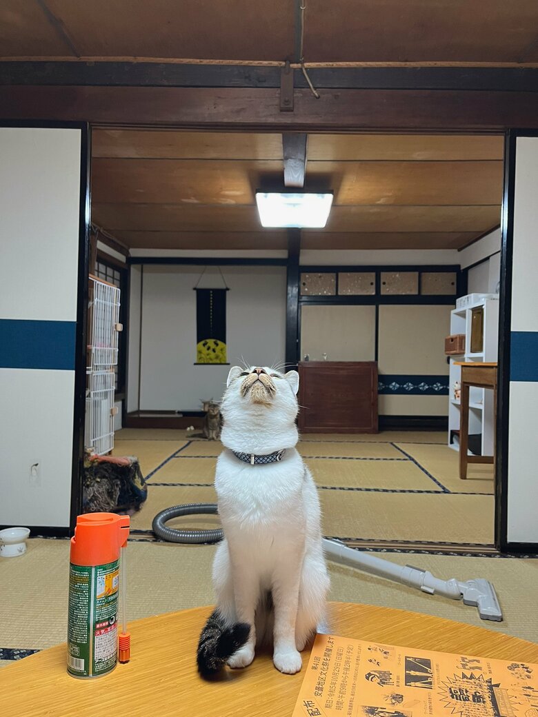 カメムシが気になる