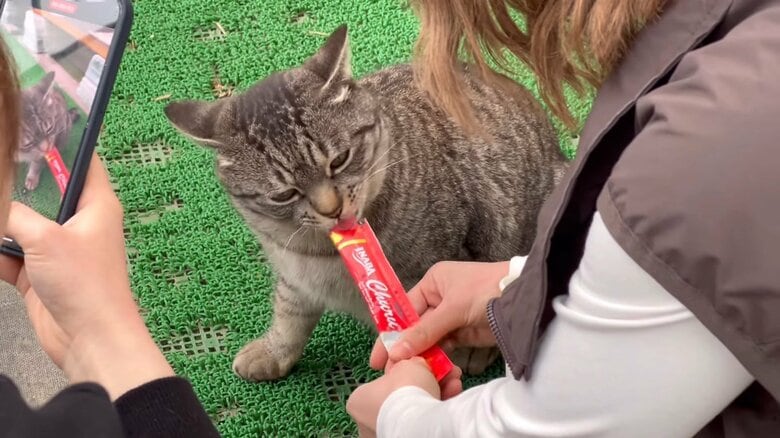 おやつをもらうことも