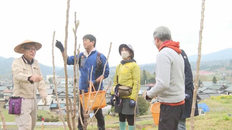 山菜の摘み取り体験（4月8日・長野県阿智村）