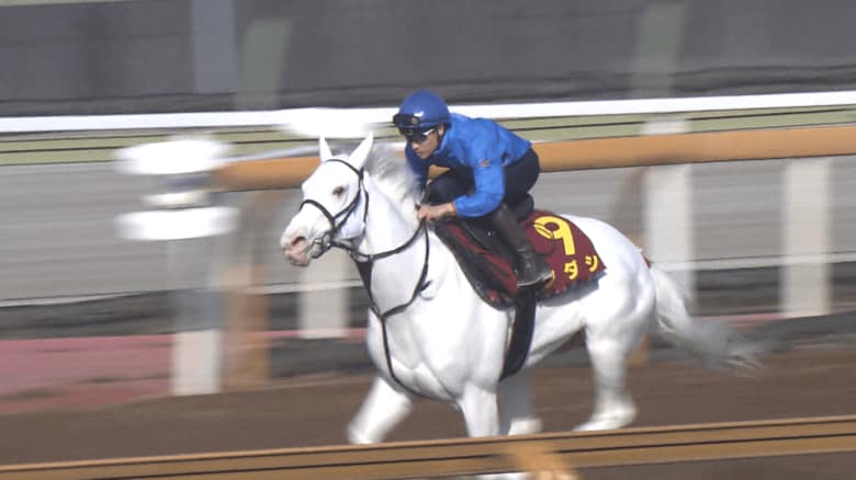 調教中のソダシ