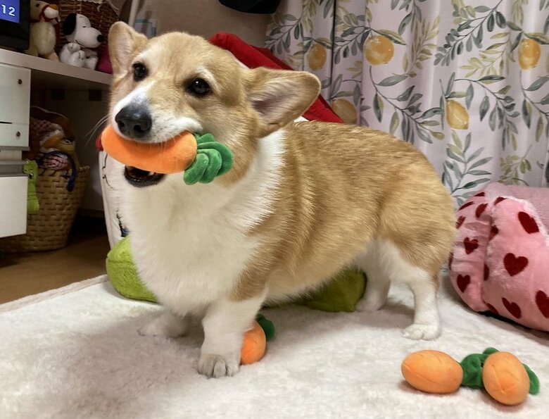 タオルのことはすっかり忘れて遊びに夢中