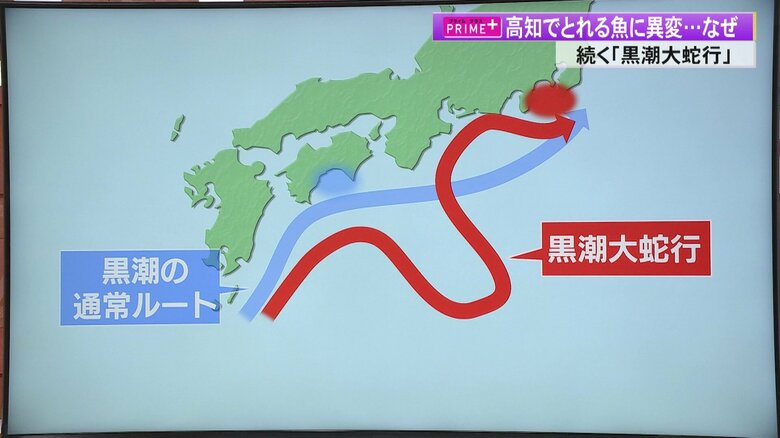 黒潮のルートが大きく変化