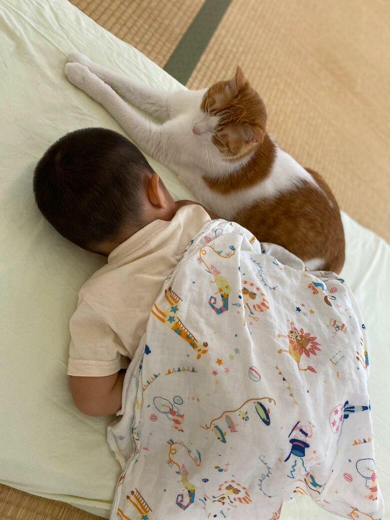 提供：Hassakuさん