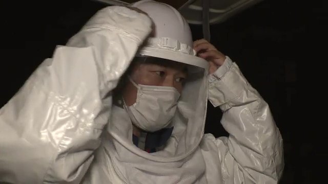 防護服を着て駆除にあたる
