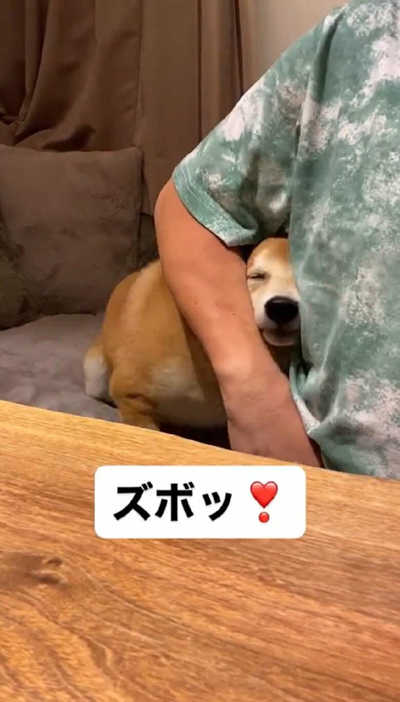 狭いけれども…