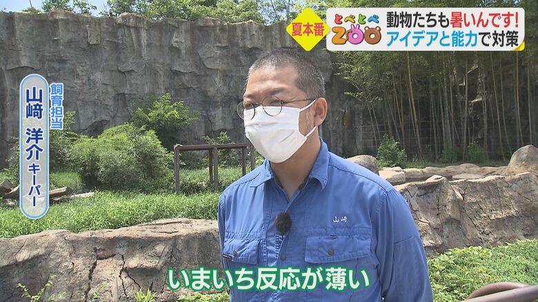 とべ動物園飼育担当・山崎洋介キーパー