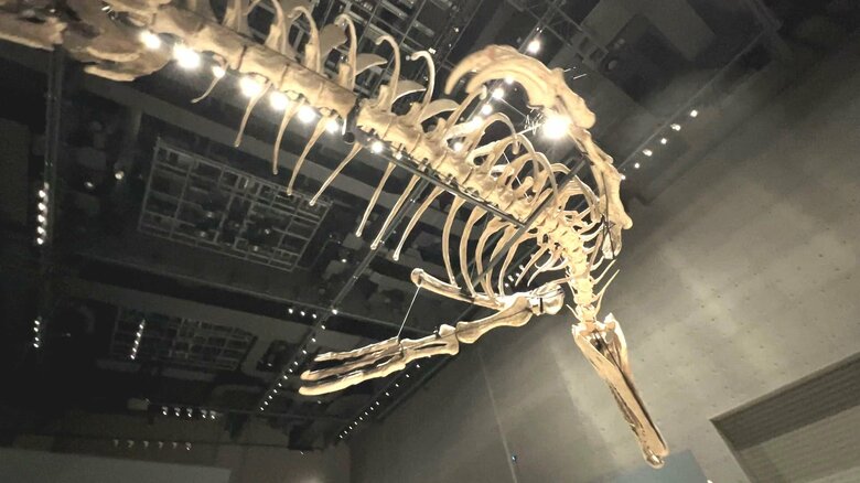 下から見上げた様子