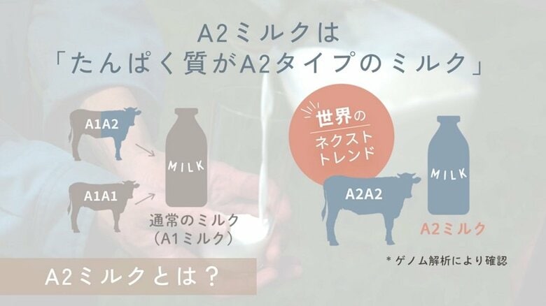 「A2ミルク」とは（提供：株式会社カネカ）