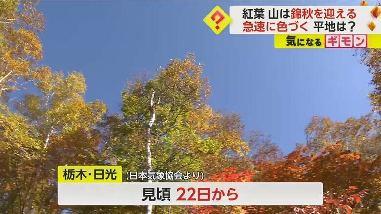 栃木県・日光の紅葉の見頃は22日からの予想
