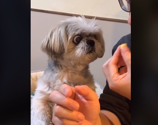 お芋をわけっこ