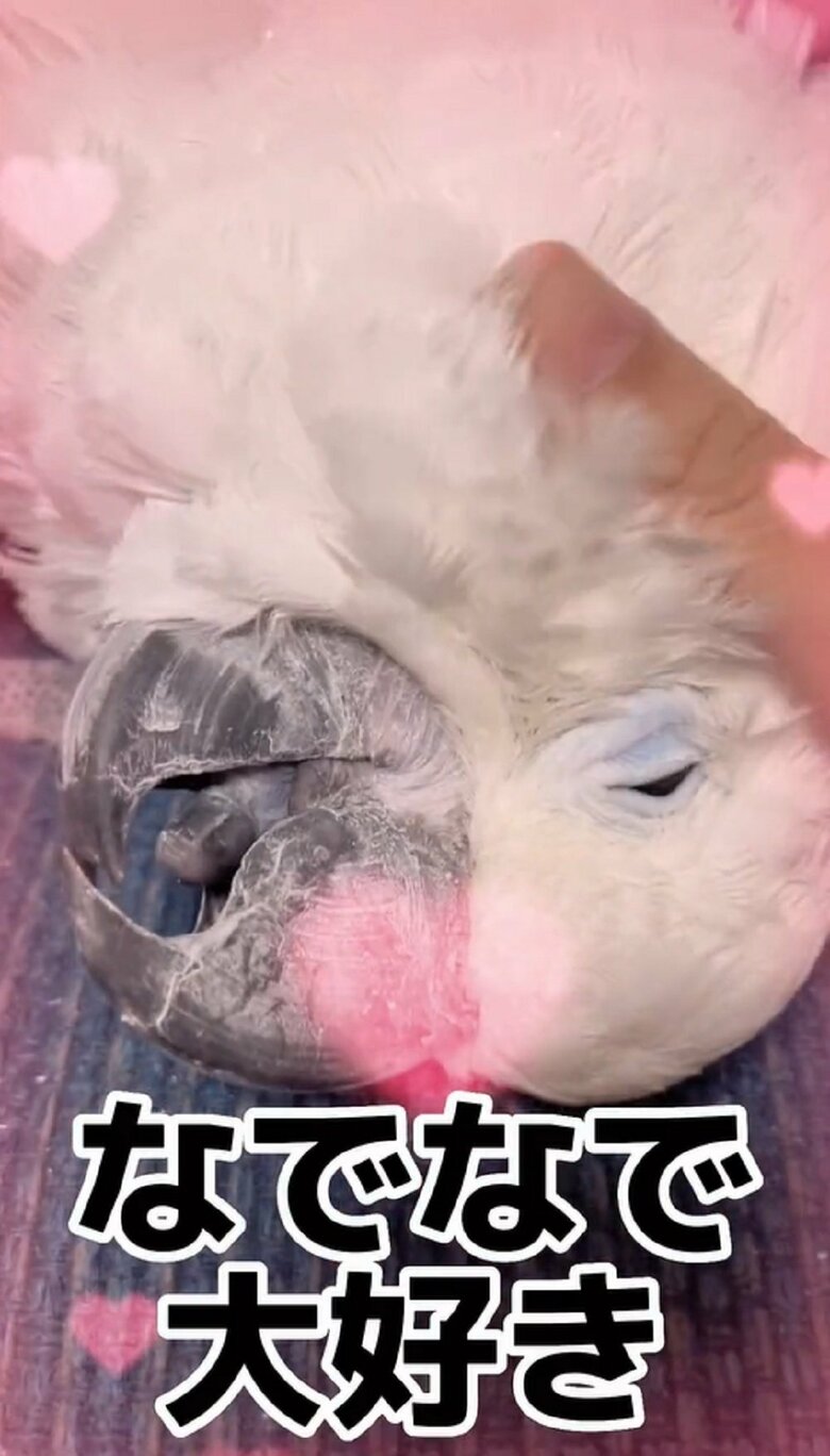 なでなでされてうっとり