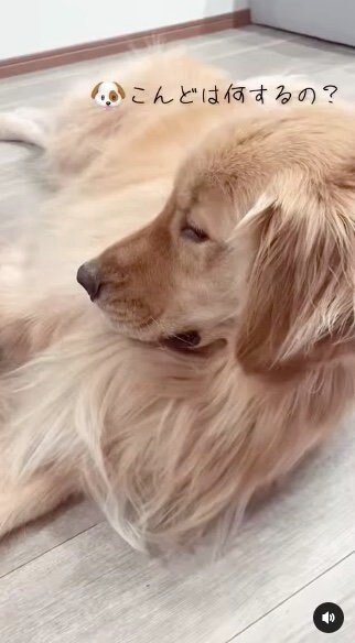 提供：西村 まひろさん