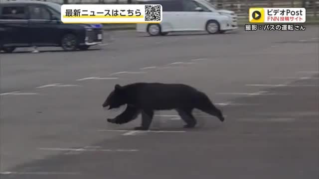 「屋外での活動が危険になりそう」野球場に到着したバスの横をクマが走り抜ける　秋田・大仙市