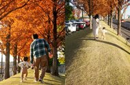「撮ってほしいのはこれ…」妻の理想と夫“撮影写真”のギャップに共感の声…撮り直したら素敵な構図に?その後を聞いた