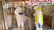 鳥インフルエンザ発生に備え　初動対応の大規模演習　実際の鶏舎を初めて使用し殺処分の手順を確認　大分