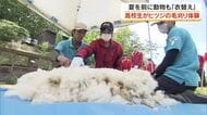 夏に向けてスッキリ…玉野市の動物公園で高校生がヒツジの毛刈り体験【岡山】