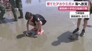 小学生が育てたアカウミガメ海へ放流　45年以上続く小学校の伝統　静岡・御前崎市