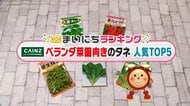 カインズの「ベランダ菜園向き野菜のタネ」人気TOP5…2位は種類が豊富な「えだまめ」　では1位は？