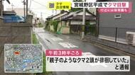 宮城野区の住宅街で親子とみられるクマ２頭を目撃　近くの保育園は園外活動や園庭の利用を急きょ中止　仙台
