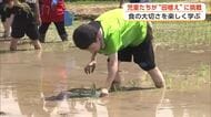田んぼへダイブ！大仙市の小学生が田植えに挑戦　全身で食べ物作る大変さ学ぶ　秋田