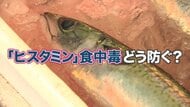 「ヒスタミン食中毒」保育園児40人以上発症　サバやマグロなど魚に多い…加熱しても防げず　舌先にピリっと感じたら要注意【奈良発】
