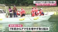 稚魚が育ちやすい環境を 小学生がアマモを海にを移植【熊本】