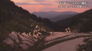 「荒れるより、自分の手で山に返したい」長年守ってきた“泉谷の棚田” 田植えの季節に