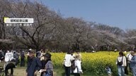 3月最後の日曜は“初夏の陽気”　「春が来たな」花見客でにぎわい　熊本では「つばめの大冒険」被災した新幹線車両が旅立ち