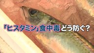 「ヒスタミン食中毒」保育園児40人以上発症　サバやマグロなど魚に多い…加熱しても防げず　舌先にピリっと感じたら要注意【奈良発】