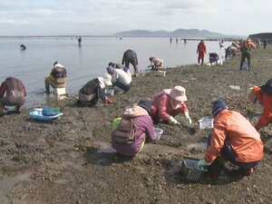 潮干狩り客「思ったより人来てる」宣言解除初日…変わった事と変わらない事 飲食店「コロナある限りムリ」