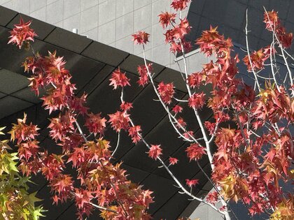 【解説】「夏日」また連発へ… 週明け涼しかった東日本もこのあと気温“急上昇”　石川では29℃予想も