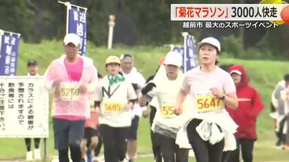小学生1年生から80歳以上の高齢者まで　3000人が越前市内を走り抜ける「菊花マラソン」　新たな取り組みで参加者2割増加　福井