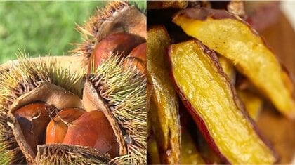 【栗VS芋】あなたはどっち派？　芳醇な香りとコクの「美郷栗スイーツ」とねっとり極甘な「熟成やきいも」　宮崎の秋の味覚を楽しもう♪