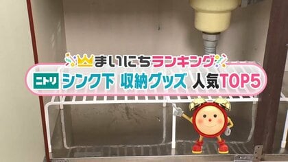 シンク下がすっきり！ニトリの収納クッズTOP5…ストッカーにスタンド 約70種類から選ばれた1位は？