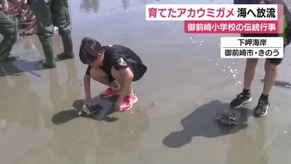 小学生が育てたアカウミガメ海へ放流　45年以上続く小学校の伝統　静岡・御前崎市