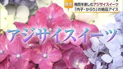 「まるでアジサイのブーケ」愛媛・南予で期間限定の“梅雨”スイーツを発見！！【愛媛発】