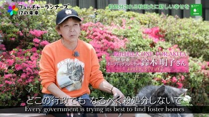 秋田犬の殺処分を減らしたい。保護して訓練して里親へつなげる、秋田犬を未来に残すための活動