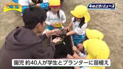 子供が苦手な野菜上位のピーマン　自分たちで育てて苦手意識を克服　カラーピーマンの苗植え