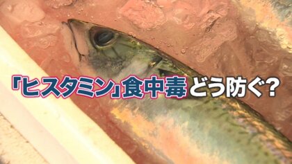 「ヒスタミン食中毒」保育園児40人以上発症　サバやマグロなど魚に多い…加熱しても防げず　舌先にピリっと感じたら要注意【奈良発】
