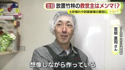 社会問題化する放置竹林 土砂災害を防ぐカギは”メンマ”にあり