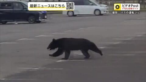 「屋外での活動が危険になりそう」野球場に到着したバスの横をクマが走り抜ける　秋田・大仙市