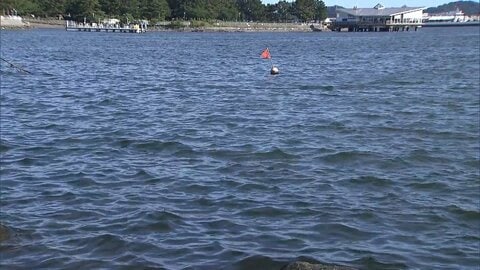 SUPで転落　20歳の男子大学生死亡　救命胴衣着用せず　神奈川・横浜市