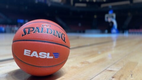 Bリーグ・クラブの価値 海外で拡大へ　国際大会で認知度アップと新ビジネス